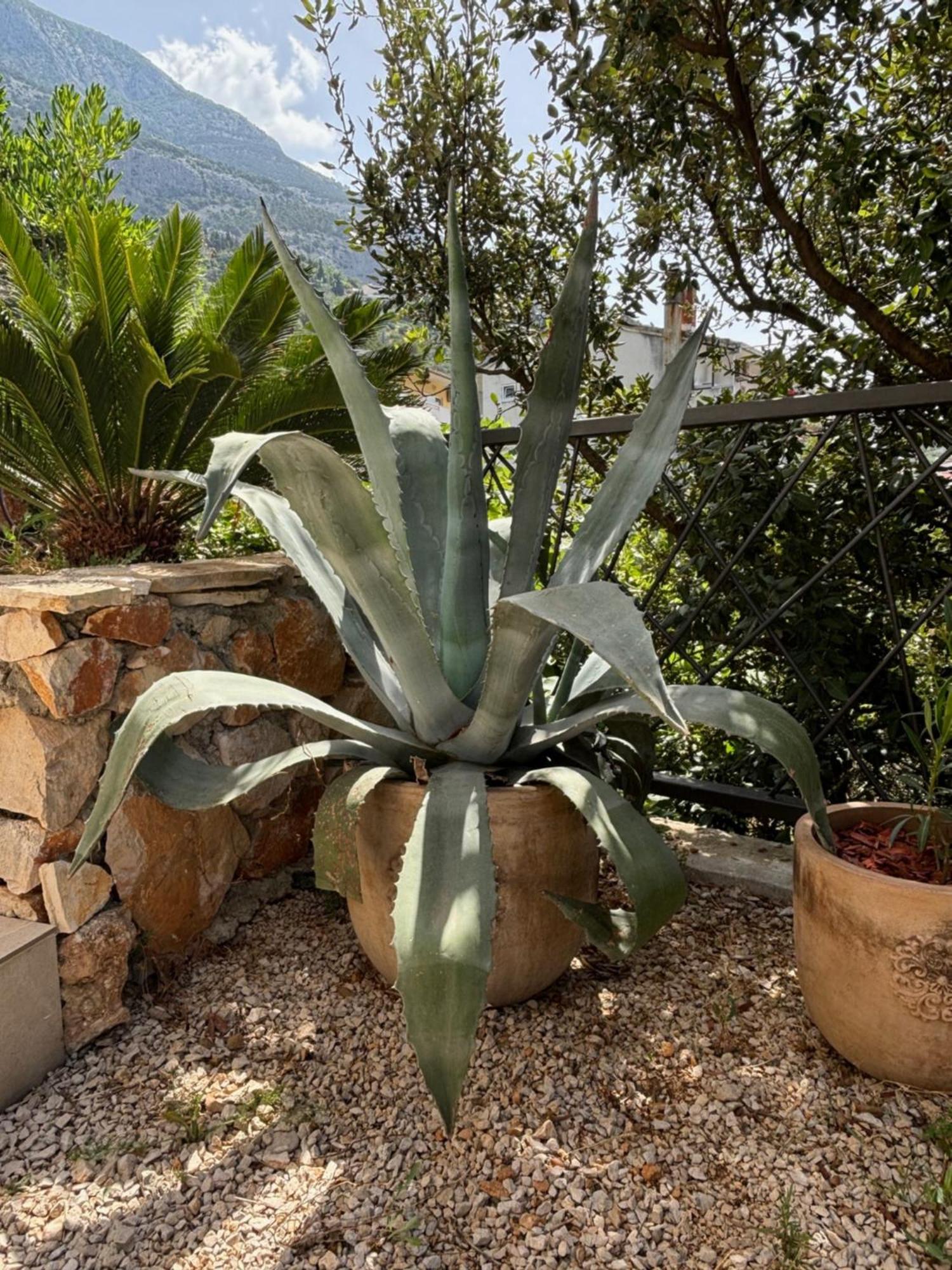 Villa Oleana Makarska Eksteriør bilde
